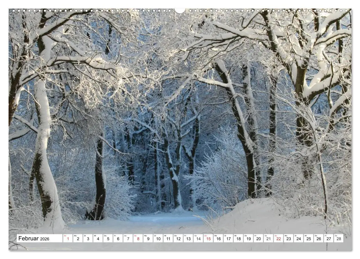 Bild: 9783516073416 | Wintermärchen Landschaften im Schnee (Wandkalender 2026 DIN A2...