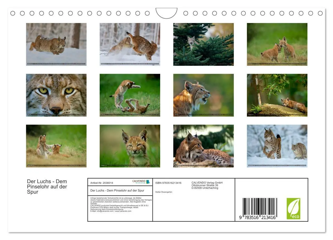 Bild: 9783516213416 | Der Luchs - Dem Pinselohr auf der Spur (Wandkalender 2026 DIN A4...