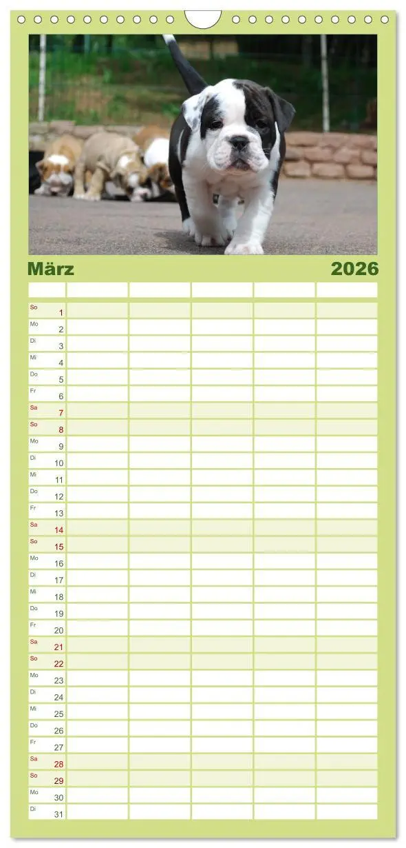 Bild: 9783516523416 | Familienplaner 2026 - Bulldoggen-Kinder mit 5 Spalten...
