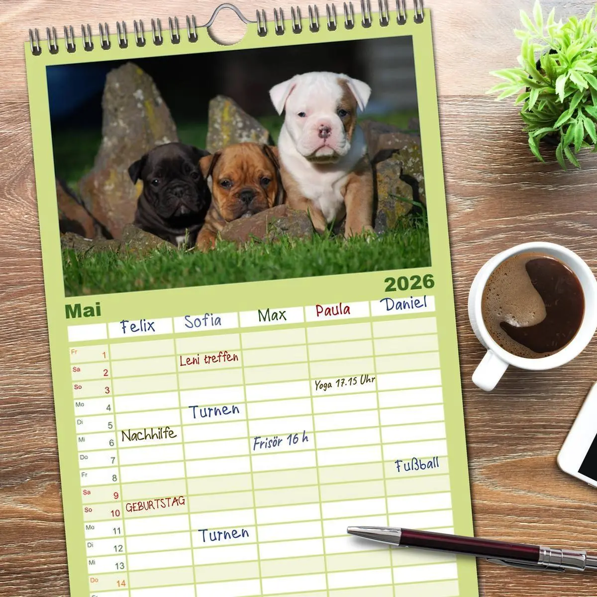 Bild: 9783516523416 | Familienplaner 2026 - Bulldoggen-Kinder mit 5 Spalten...