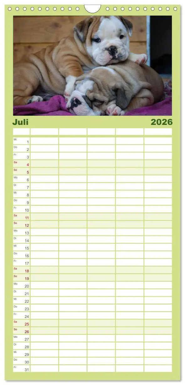 Bild: 9783516523416 | Familienplaner 2026 - Bulldoggen-Kinder mit 5 Spalten...