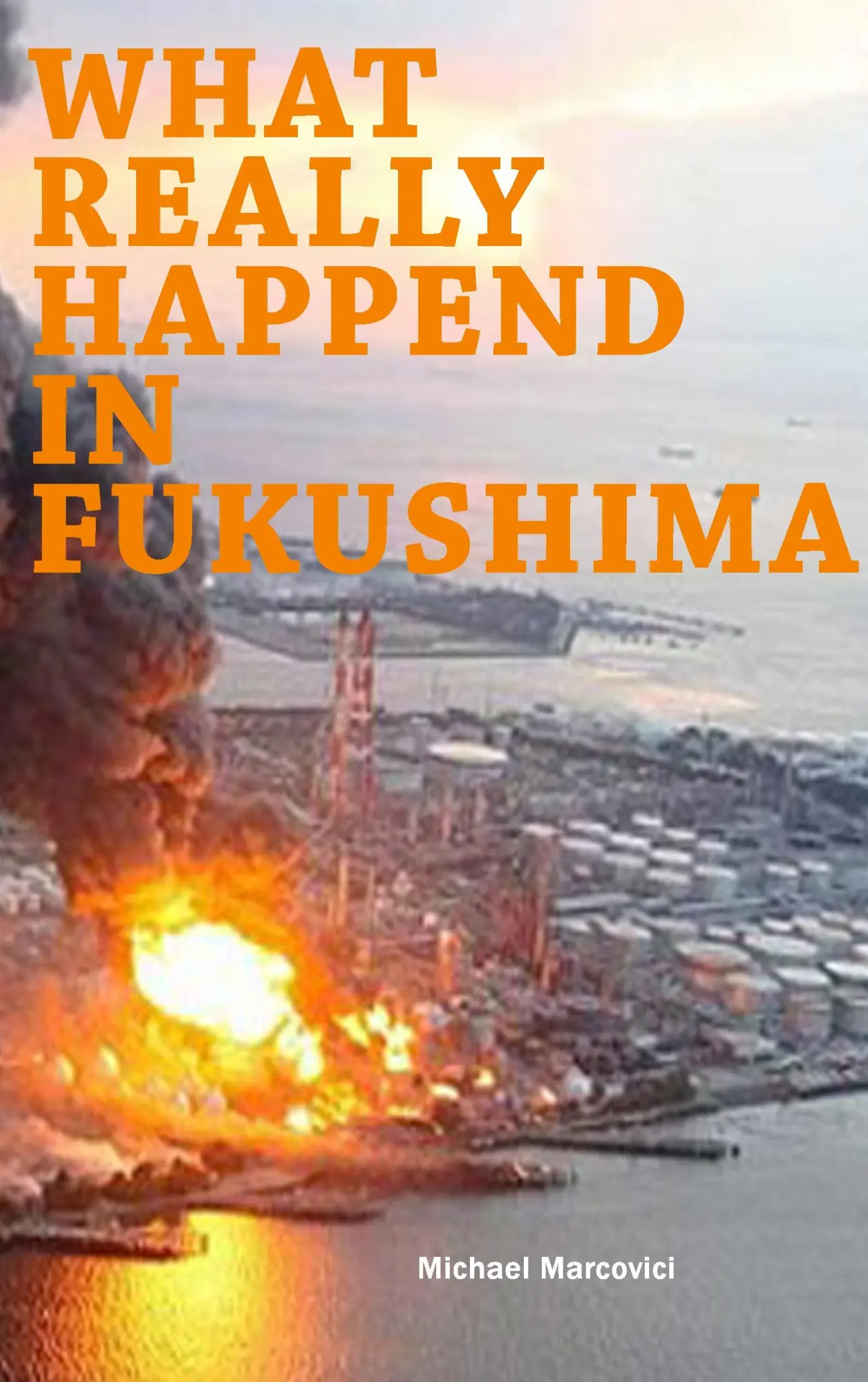 What really happened in Fukushima: Did we learn from the disaster?