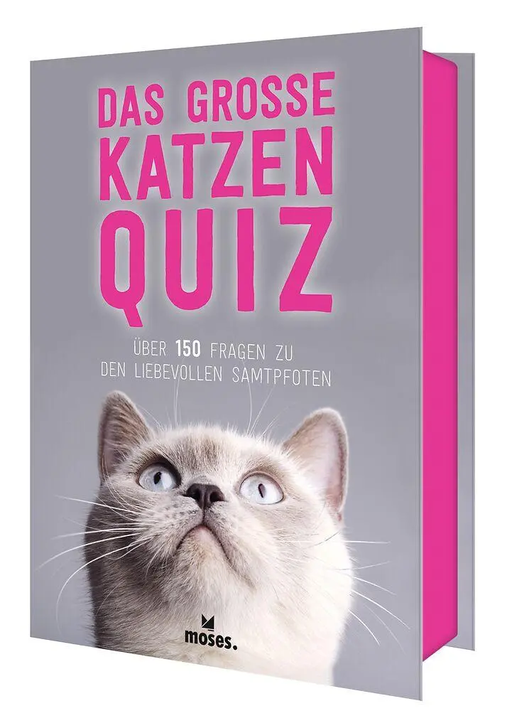 Cover: 9783964553416 | Das große Katzen Quiz | Anita van Saan | Taschenbuch | 100 S. | 2025