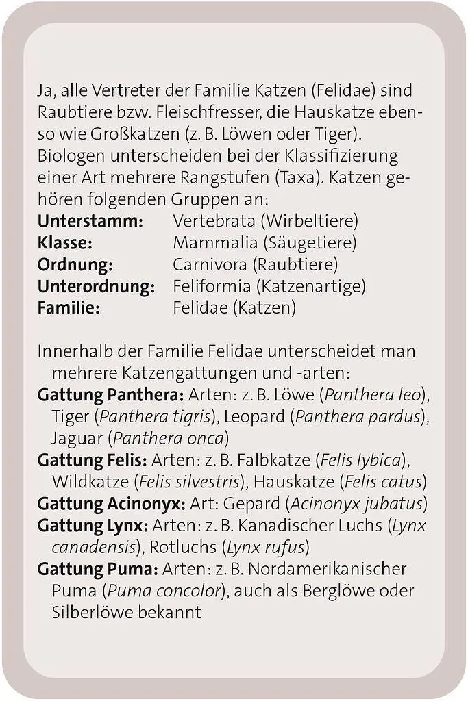 Bild: 9783964553416 | Das große Katzen Quiz | Anita van Saan | Taschenbuch | 100 S. | 2025