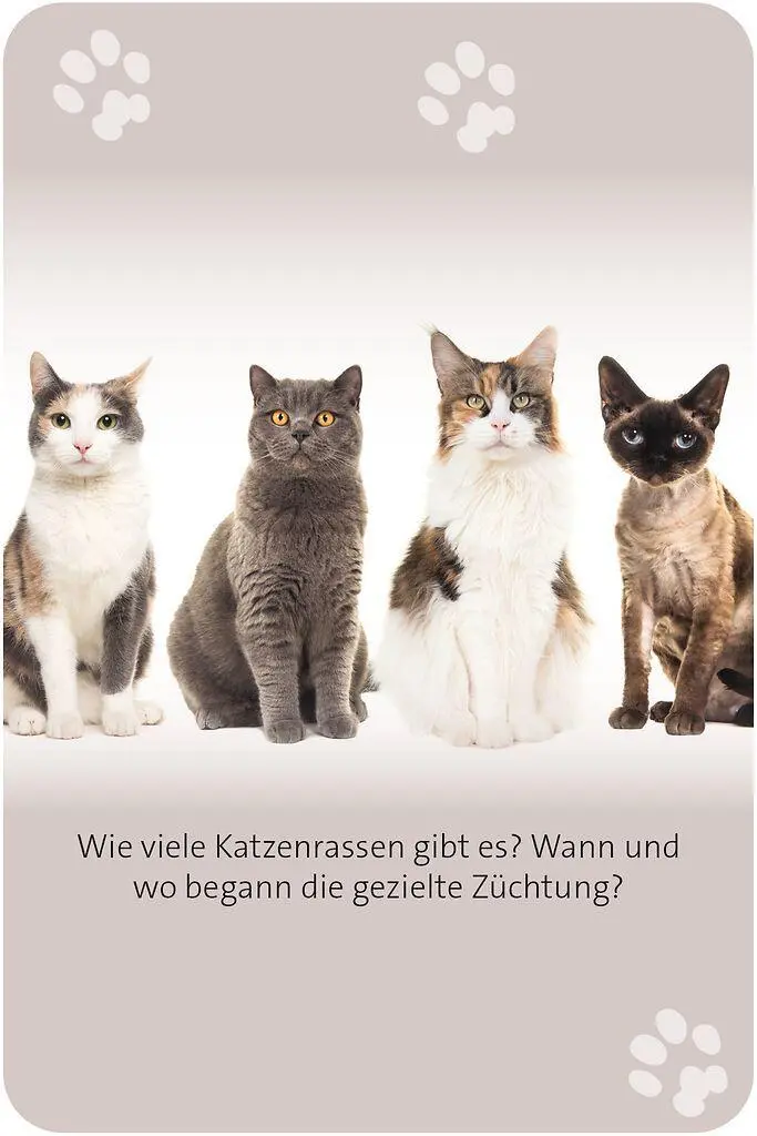 Bild: 9783964553416 | Das große Katzen Quiz | Anita van Saan | Taschenbuch | 100 S. | 2025