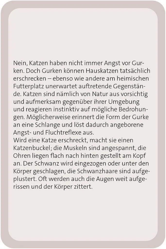 Bild: 9783964553416 | Das große Katzen Quiz | Anita van Saan | Taschenbuch | 100 S. | 2025