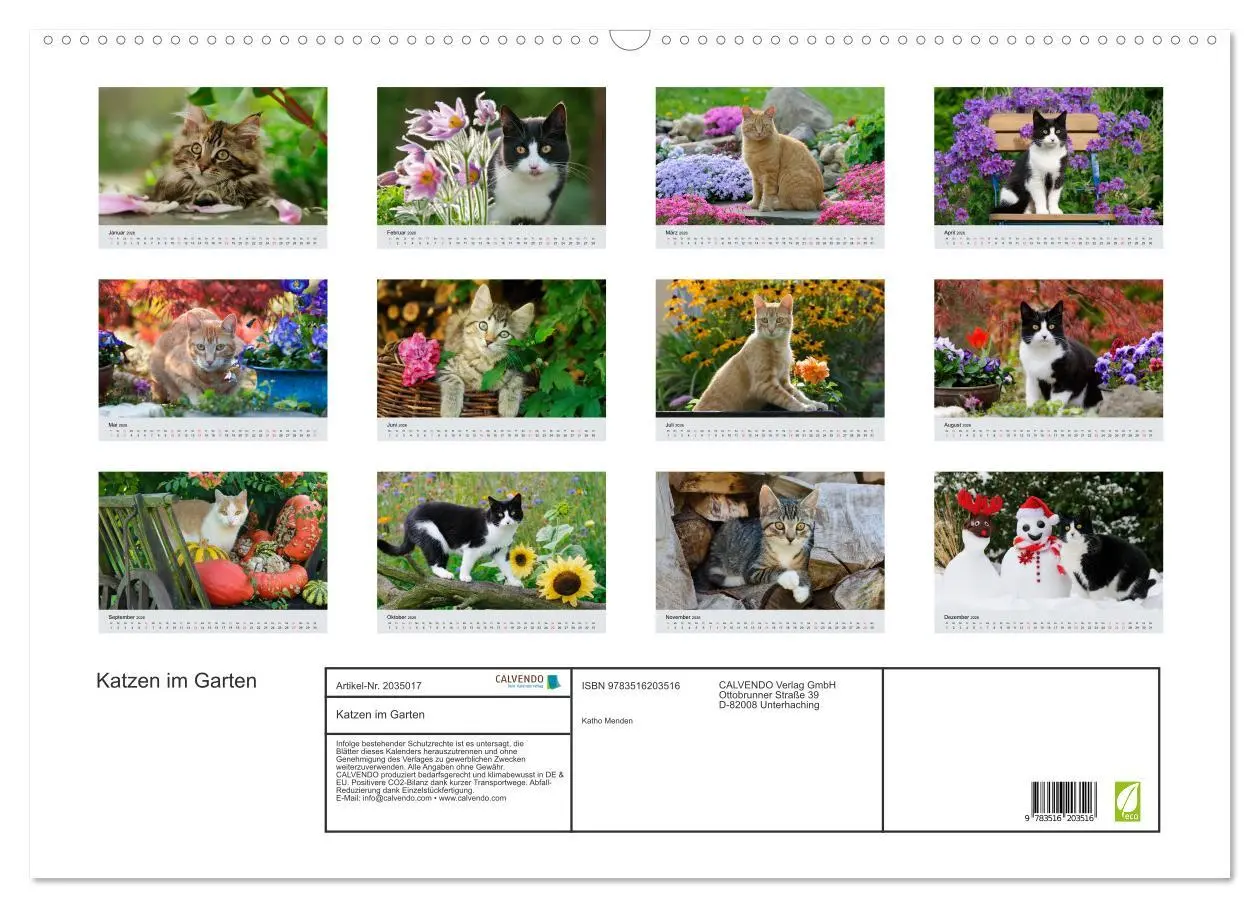 Bild: 9783516203516 | Katzen im Garten (Wandkalender 2026 DIN A2 quer), CALVENDO...