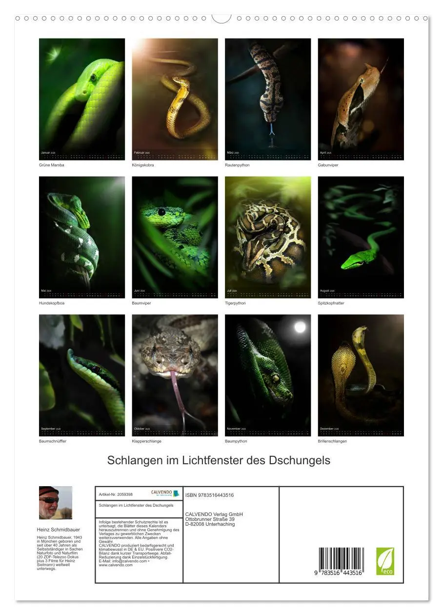 Bild: 9783516443516 | Schlangen im Lichtfenster des Dschungels (hochwertiger Premium...