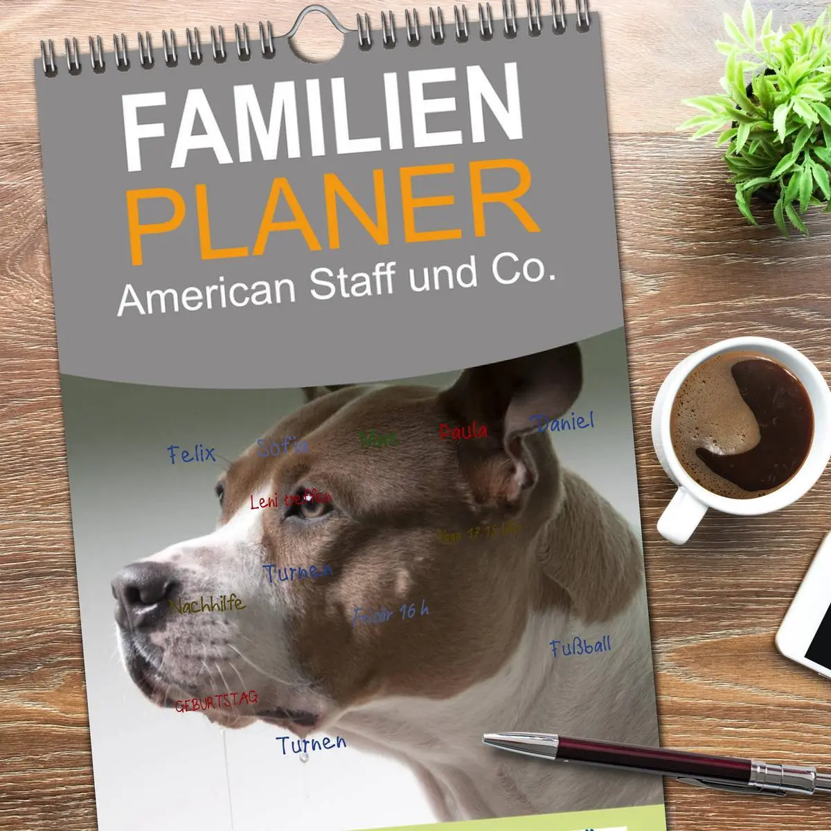 Bild: 9783516513516 | Familienplaner 2026 - American Staff und Co. mit 5 Spalten...