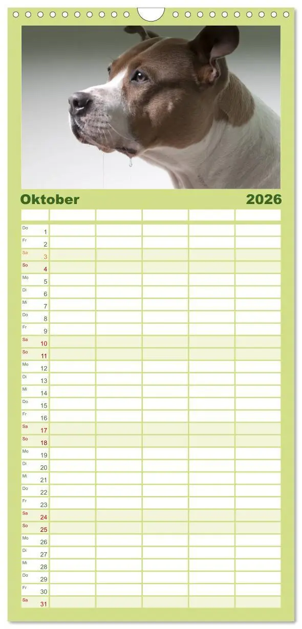 Bild: 9783516513516 | Familienplaner 2026 - American Staff und Co. mit 5 Spalten...