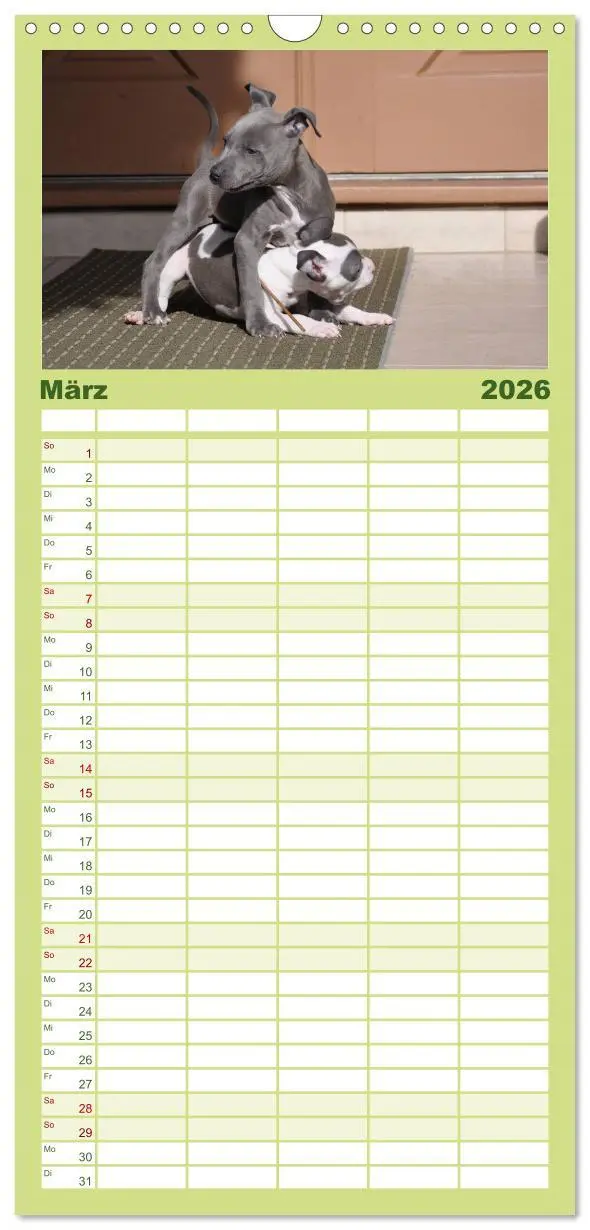 Bild: 9783516513516 | Familienplaner 2026 - American Staff und Co. mit 5 Spalten...