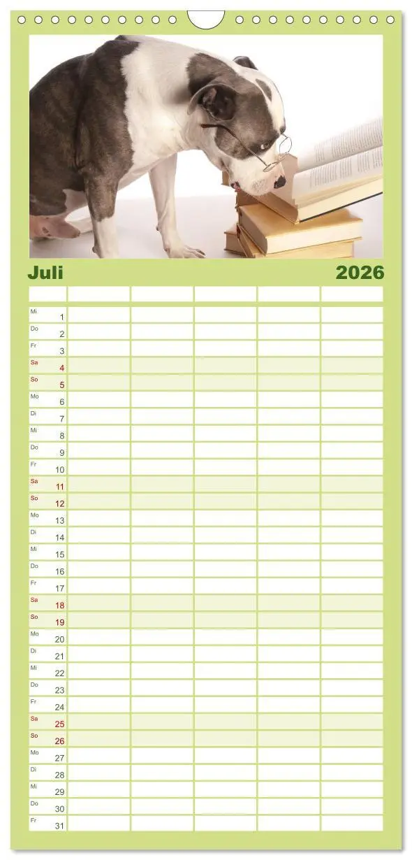 Bild: 9783516513516 | Familienplaner 2026 - American Staff und Co. mit 5 Spalten...
