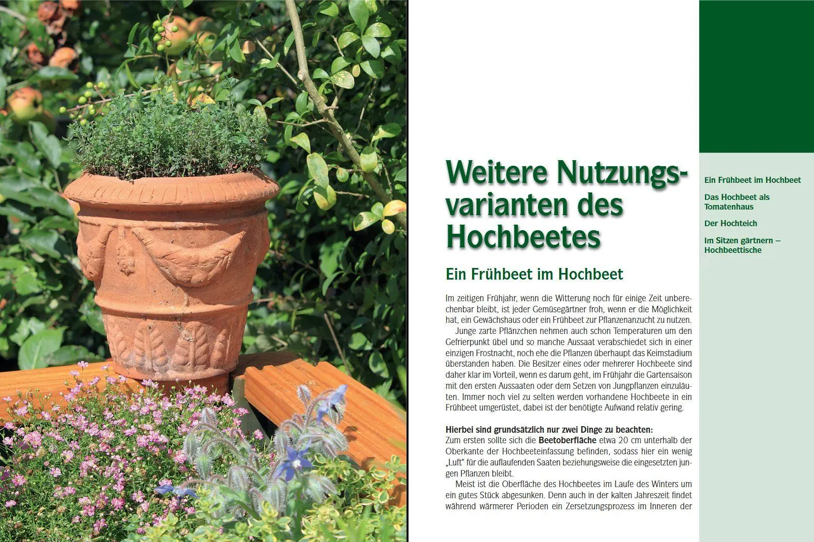 Bild: 9783702013516 | Das Hochbeet | Für Gemüse, Kräuter und Blumen | Sofie Meys | Buch