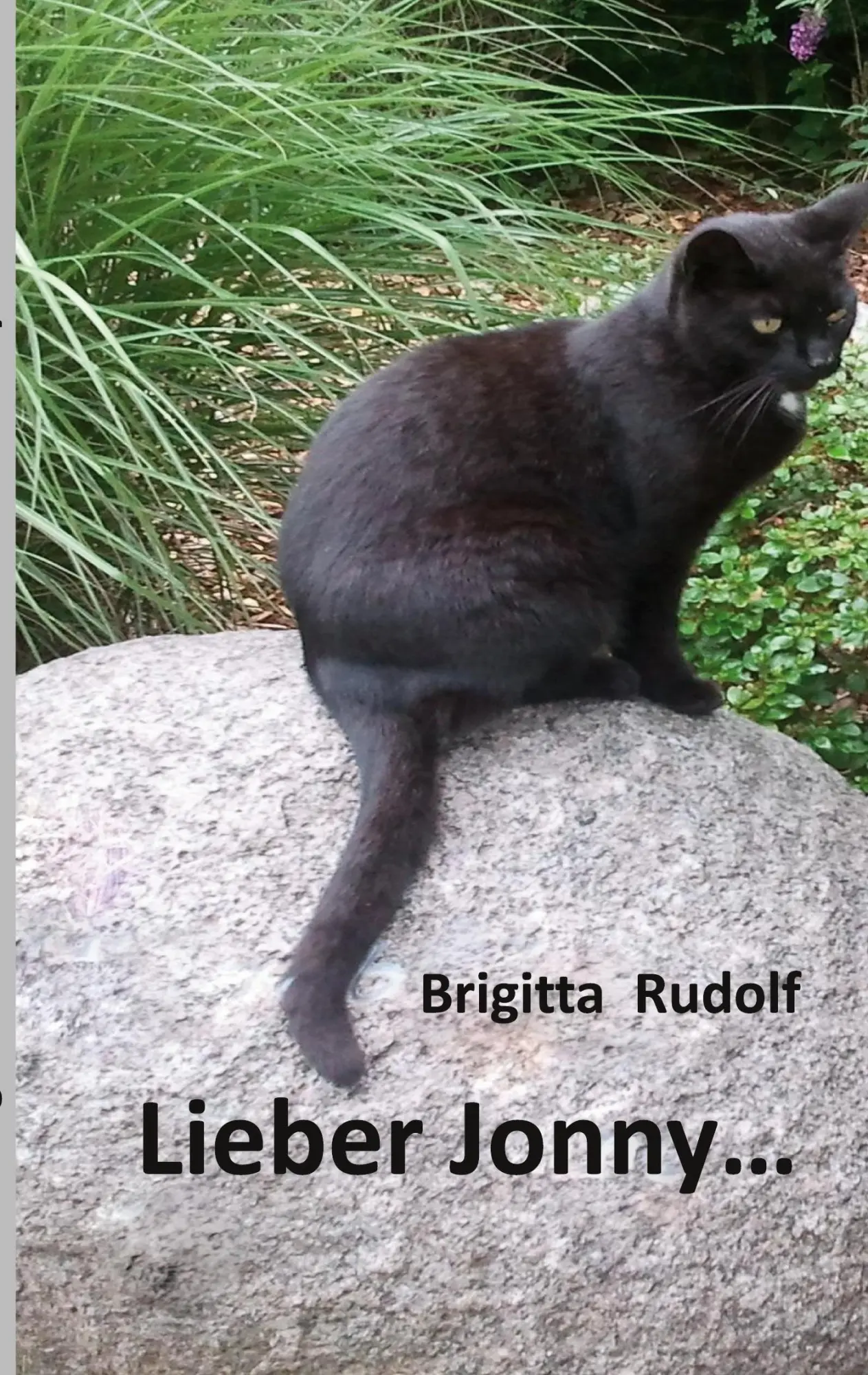 Cover: 9783752683516 | Lieber Jonny | Brigitta Rudolf | Taschenbuch | 98 S. | Deutsch | 2021