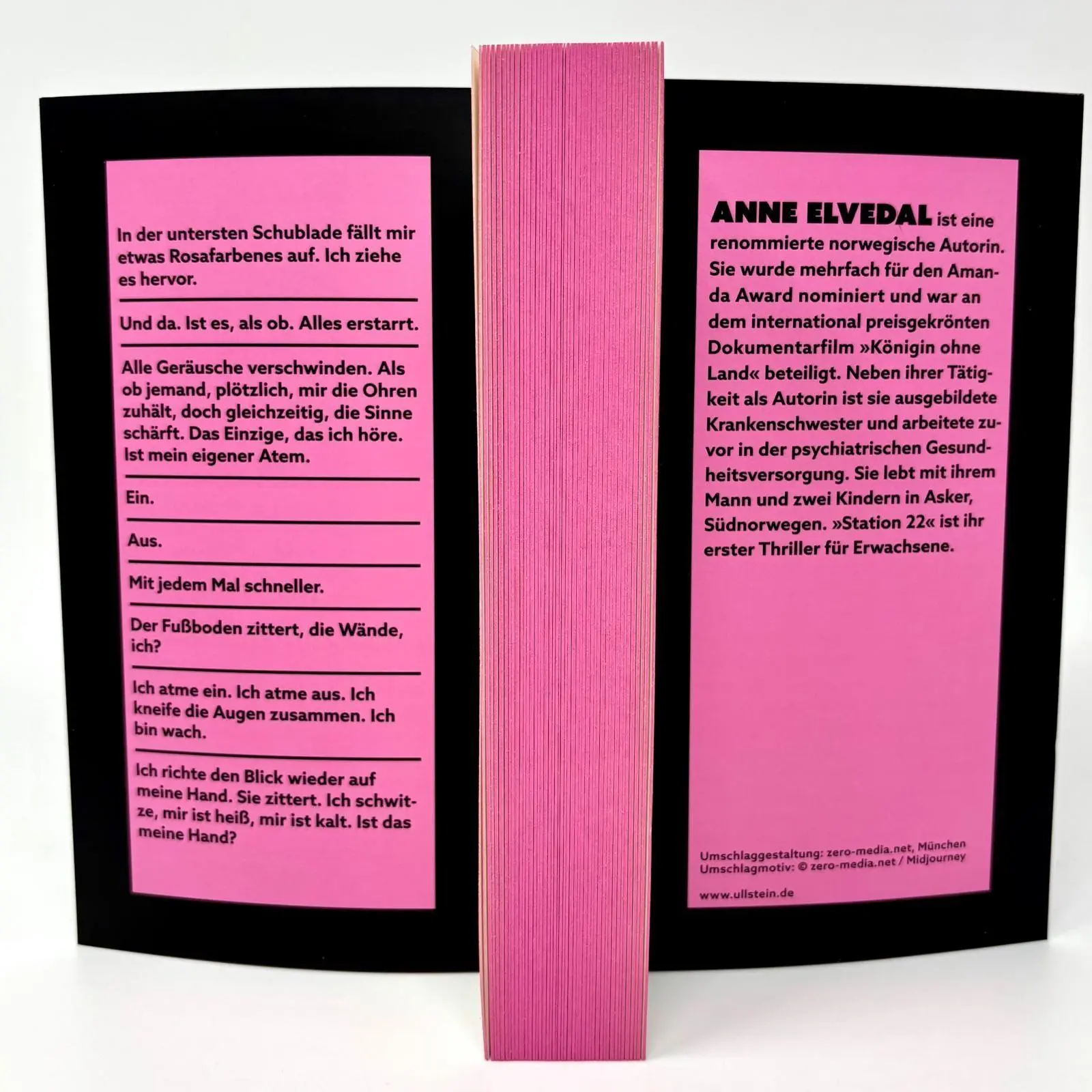Bild: 9783864933516 | Station 22. Wo bist du sicher? | Anne Elvedal | Taschenbuch | 352 S.