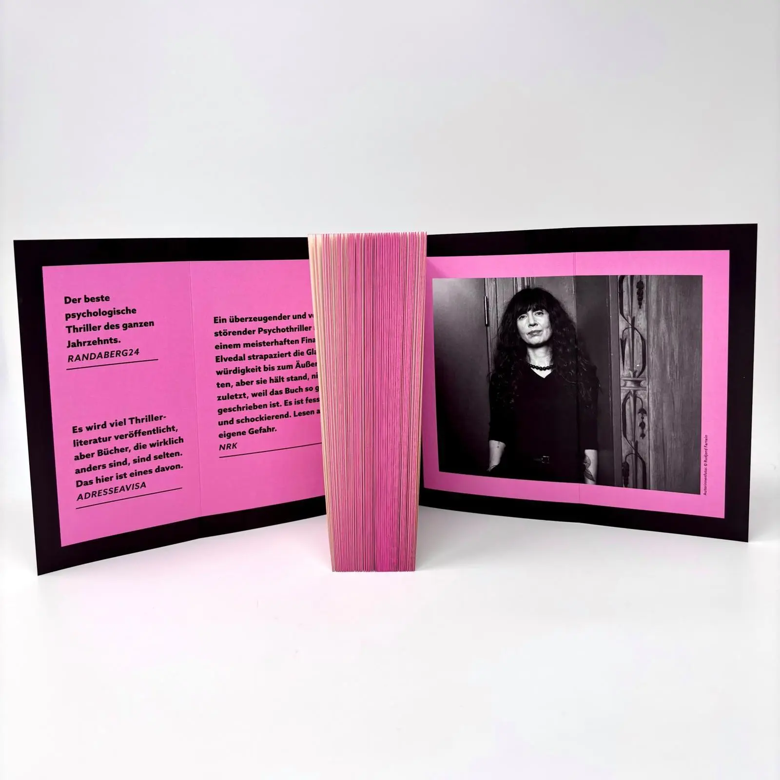 Bild: 9783864933516 | Station 22. Wo bist du sicher? | Anne Elvedal | Taschenbuch | 352 S.