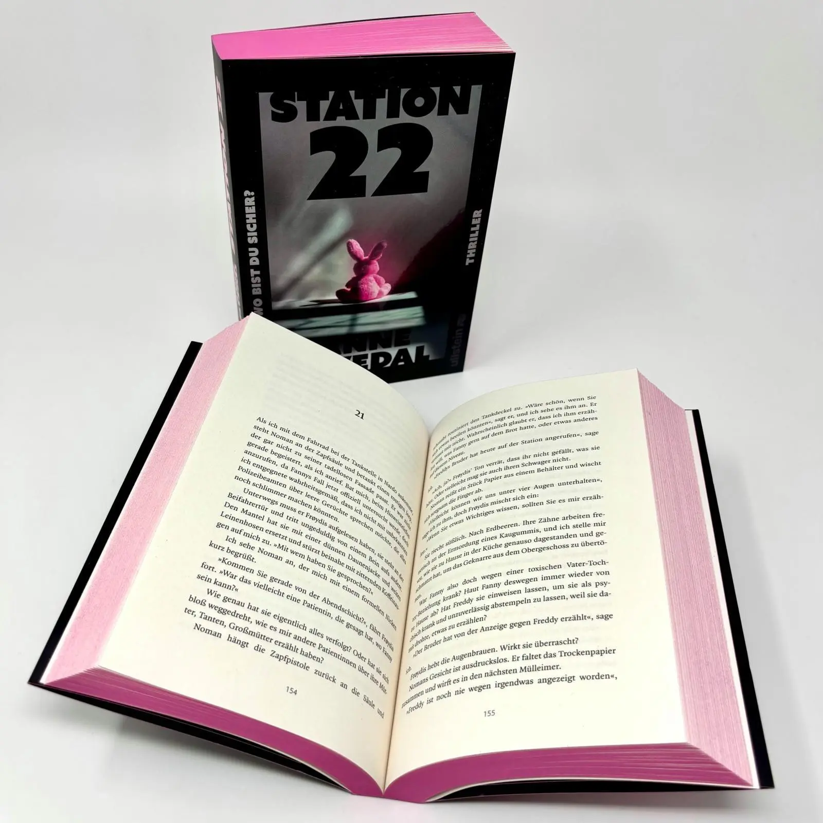 Bild: 9783864933516 | Station 22. Wo bist du sicher? | Anne Elvedal | Taschenbuch | 352 S.