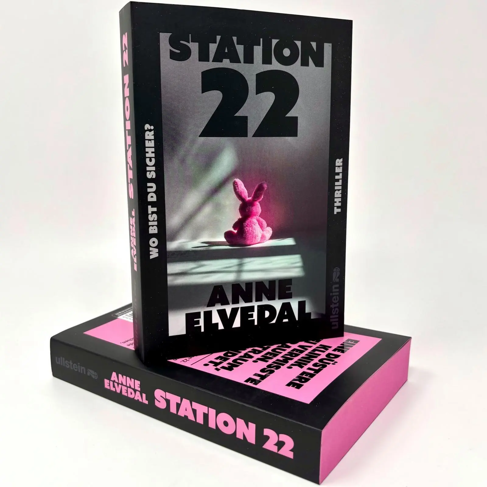 Bild: 9783864933516 | Station 22. Wo bist du sicher? | Anne Elvedal | Taschenbuch | 352 S.