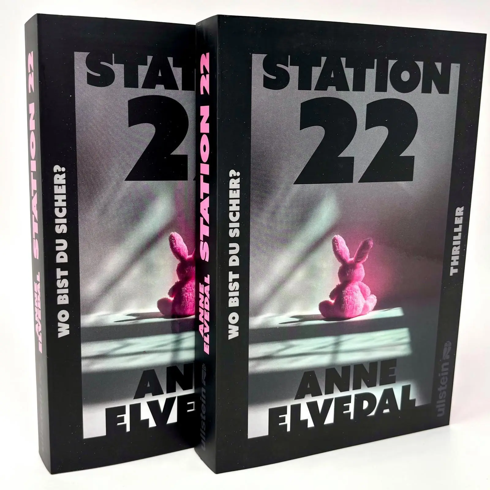 Bild: 9783864933516 | Station 22. Wo bist du sicher? | Anne Elvedal | Taschenbuch | 352 S.