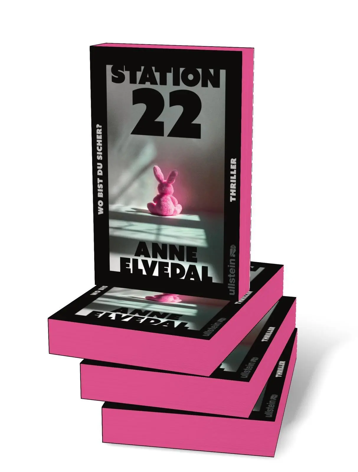 Bild: 9783864933516 | Station 22. Wo bist du sicher? | Anne Elvedal | Taschenbuch | 352 S.