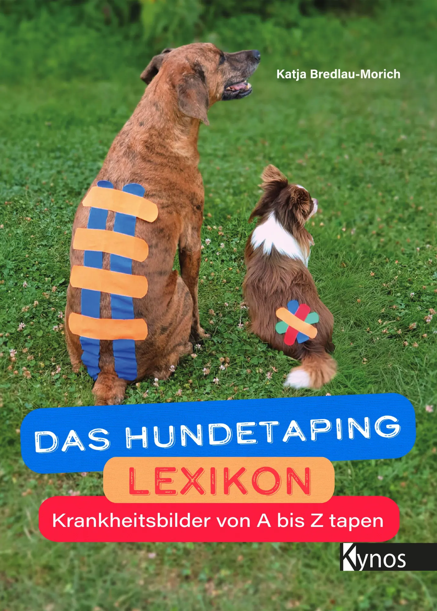Cover: 9783954643516 | Das Hundetaping Lexikon | Krankheitsbilder von A bis Z tapen | Buch