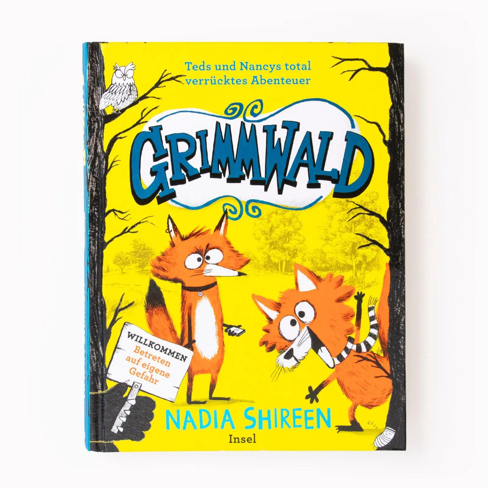Bild: 9783458643616 | Grimmwald 1 - Teds und Nancys total verrücktes Abenteuer | Shireen