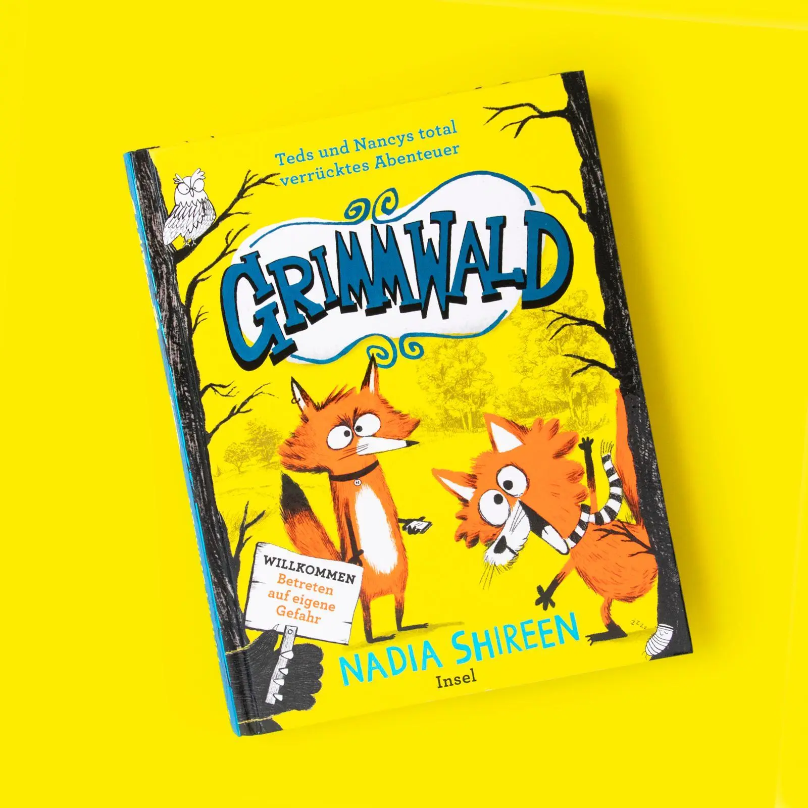 Bild: 9783458643616 | Grimmwald 1 - Teds und Nancys total verrücktes Abenteuer | Shireen
