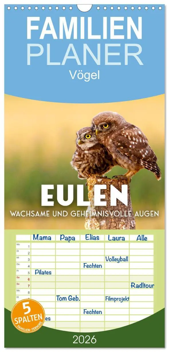 Cover: 9783516503616 | Familienplaner 2026 - Eulen - Wachsame und geheimnisvolle Augen mit...