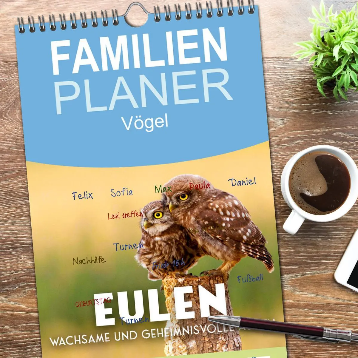Bild: 9783516503616 | Familienplaner 2026 - Eulen - Wachsame und geheimnisvolle Augen mit...