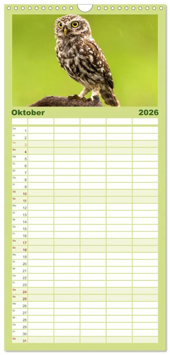 Bild: 9783516503616 | Familienplaner 2026 - Eulen - Wachsame und geheimnisvolle Augen mit...