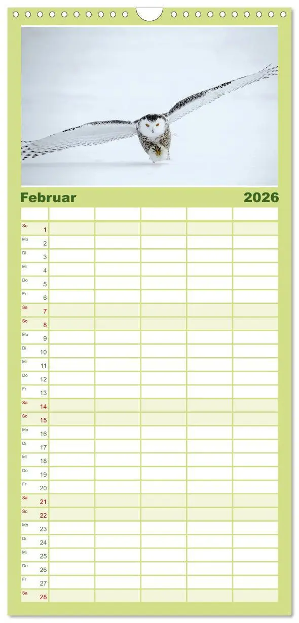 Bild: 9783516503616 | Familienplaner 2026 - Eulen - Wachsame und geheimnisvolle Augen mit...