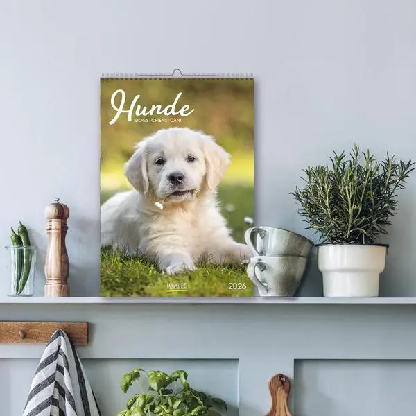 Bild: 9783731883616 | Hunde 2026 | Wandkalender mit Fotos von Hunden. Format 23,5 x 33,5 cm.