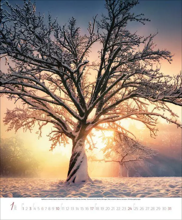 Bild: 9783819303616 | Bezaubernde Augenblicke in der Natur 2027 | Verlag Korsch | Kalender