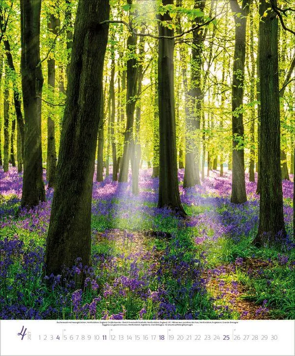 Bild: 9783819303616 | Bezaubernde Augenblicke in der Natur 2027 | Verlag Korsch | Kalender