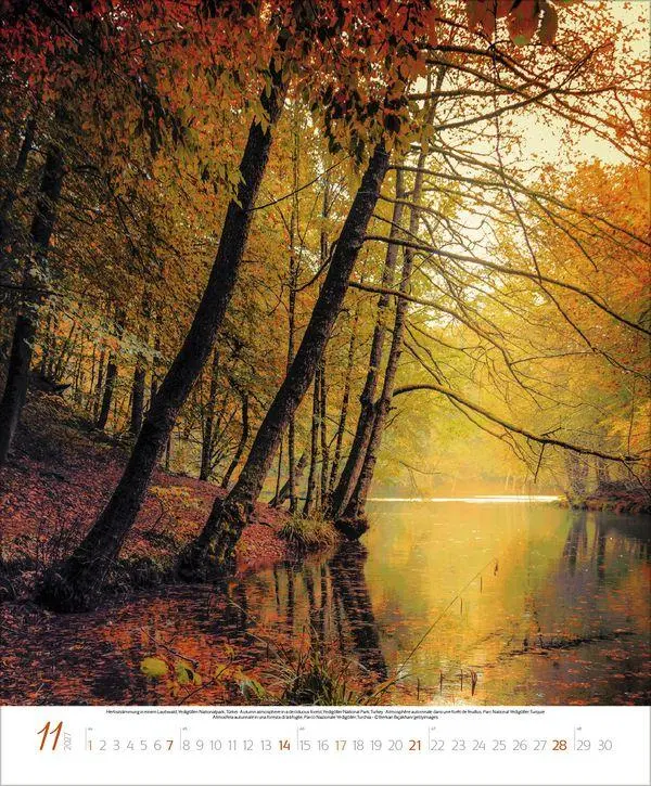 Bild: 9783819303616 | Bezaubernde Augenblicke in der Natur 2027 | Verlag Korsch | Kalender