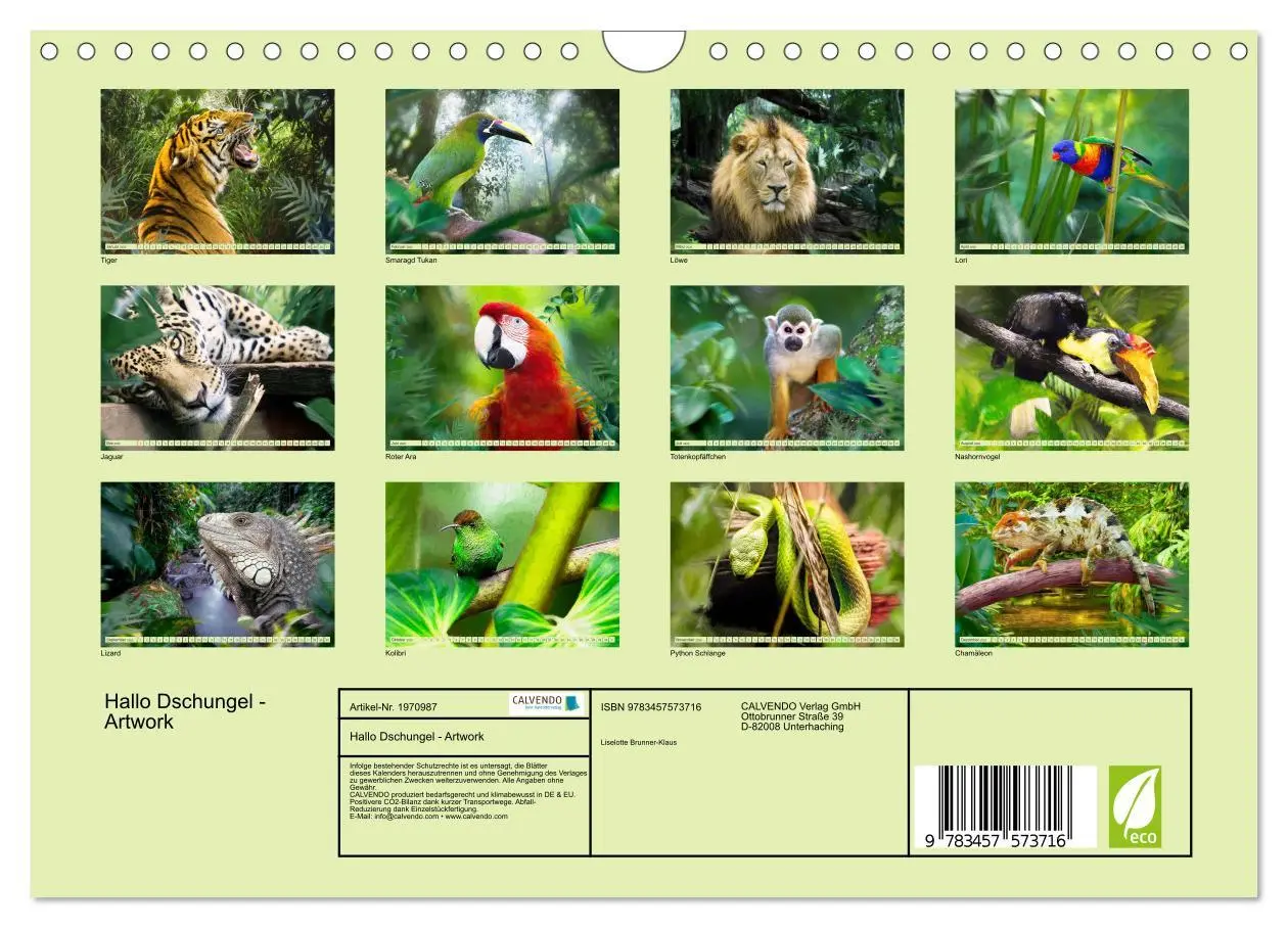 Bild: 9783457573716 | Hallo Dschungel - Artwork (Wandkalender 2026 DIN A4 quer), CALVENDO...