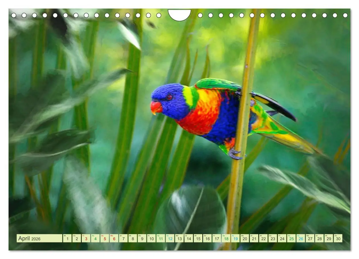 Bild: 9783457573716 | Hallo Dschungel - Artwork (Wandkalender 2026 DIN A4 quer), CALVENDO...