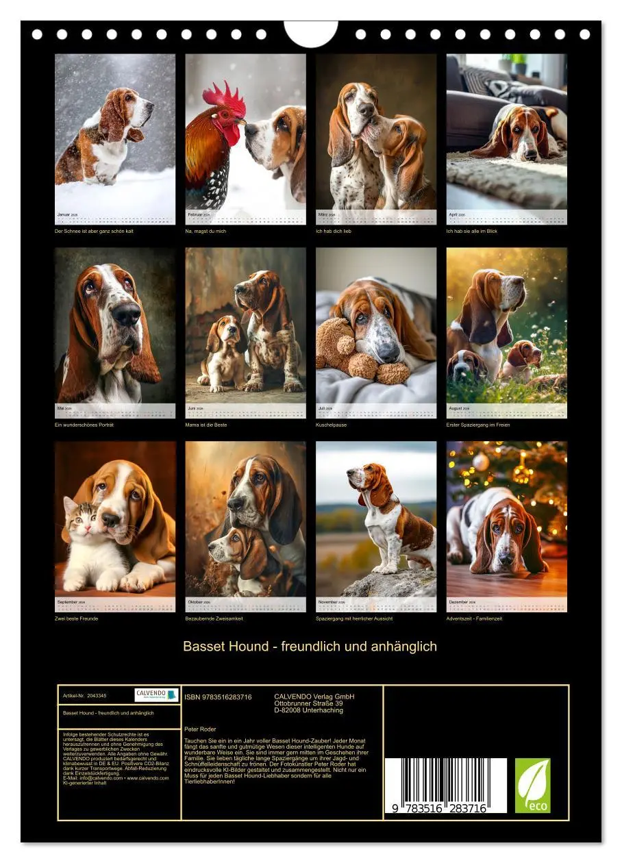 Bild: 9783516283716 | Basset Hound - freundlich und anhänglich (Wandkalender 2026 DIN A4...