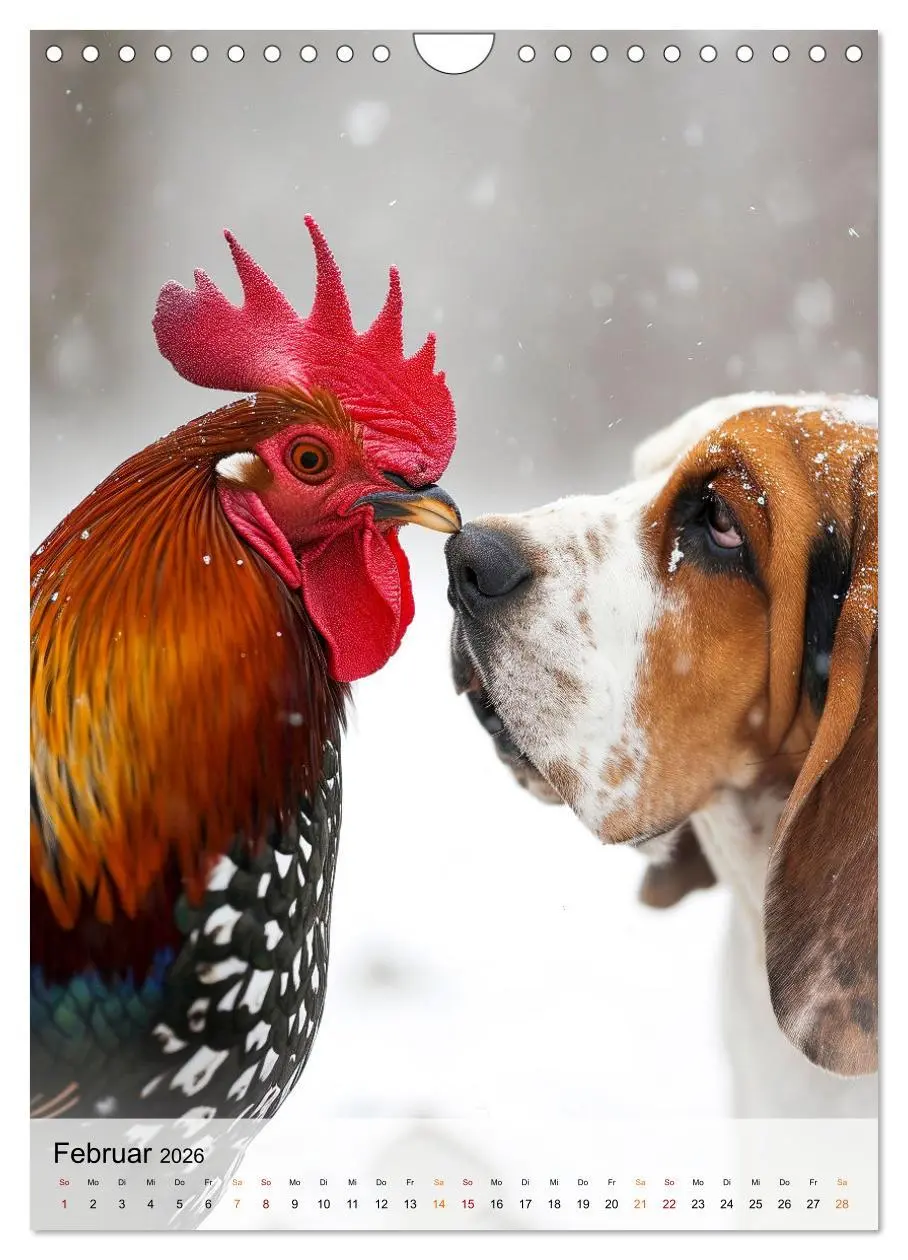Bild: 9783516283716 | Basset Hound - freundlich und anhänglich (Wandkalender 2026 DIN A4...