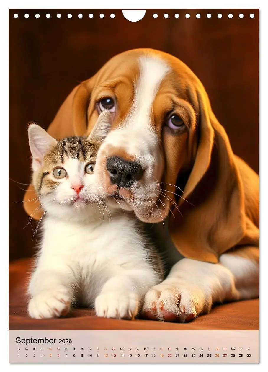 Bild: 9783516283716 | Basset Hound - freundlich und anhänglich (Wandkalender 2026 DIN A4...