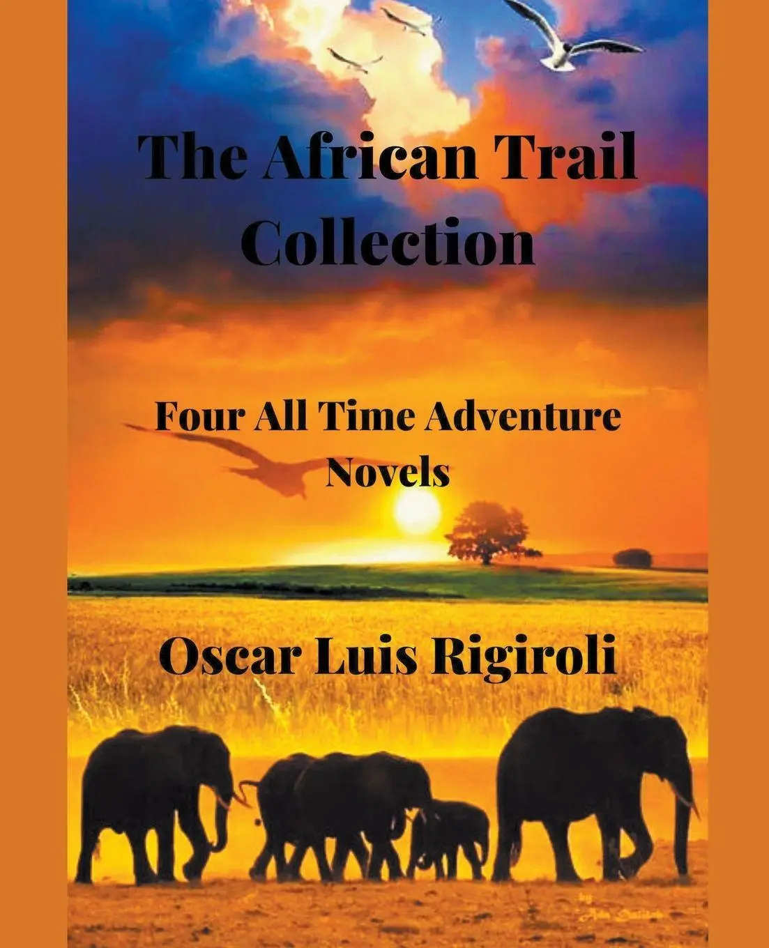 Cover: 9781393093916 | The African Trail Collection- Four All Time Adventure Novels | Buch