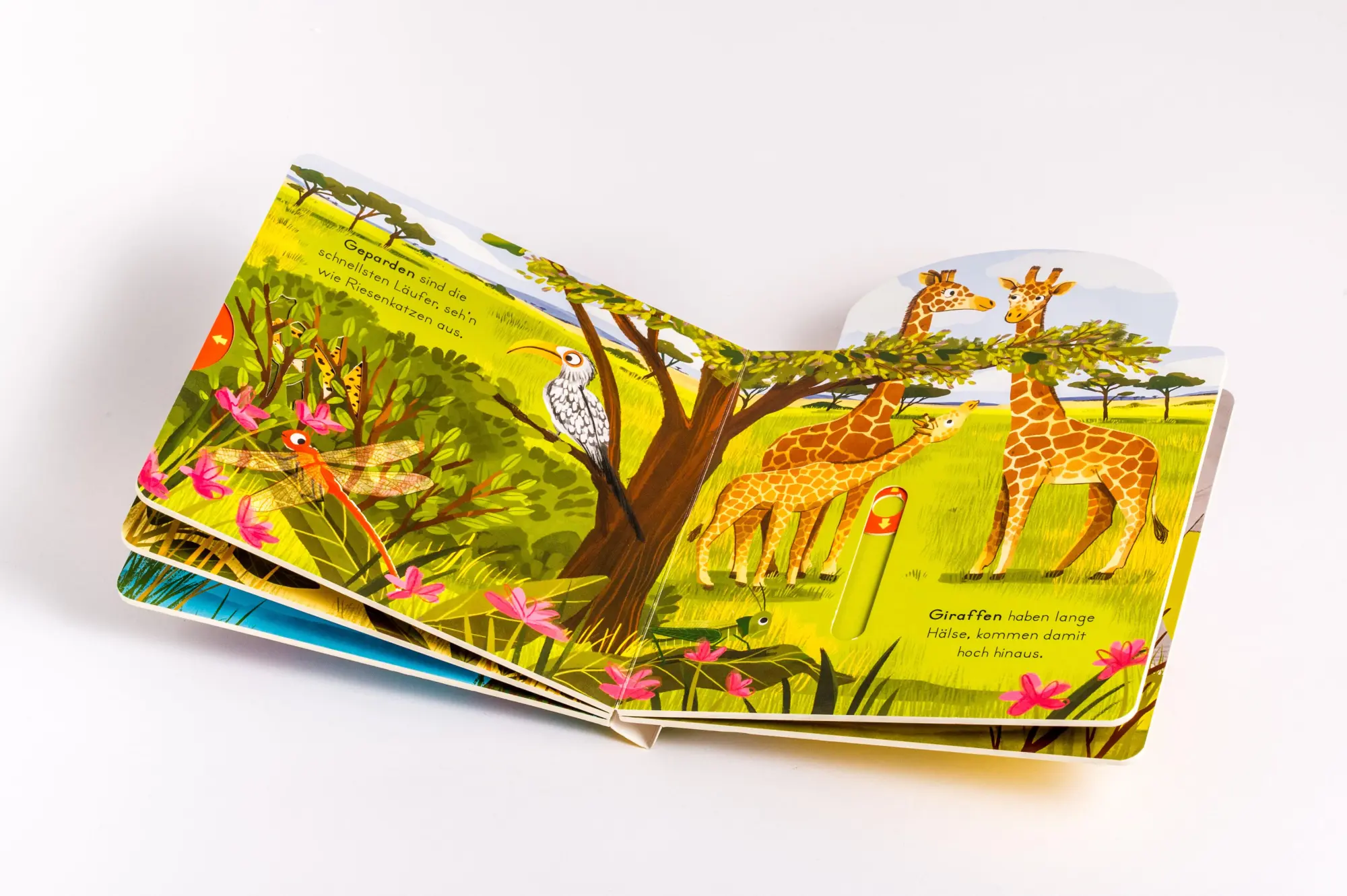 Bild: 9783328303916 | Komm mit nach draußen! Wilde Tiere | Kathrin Lena Orso | Buch | 10 S.