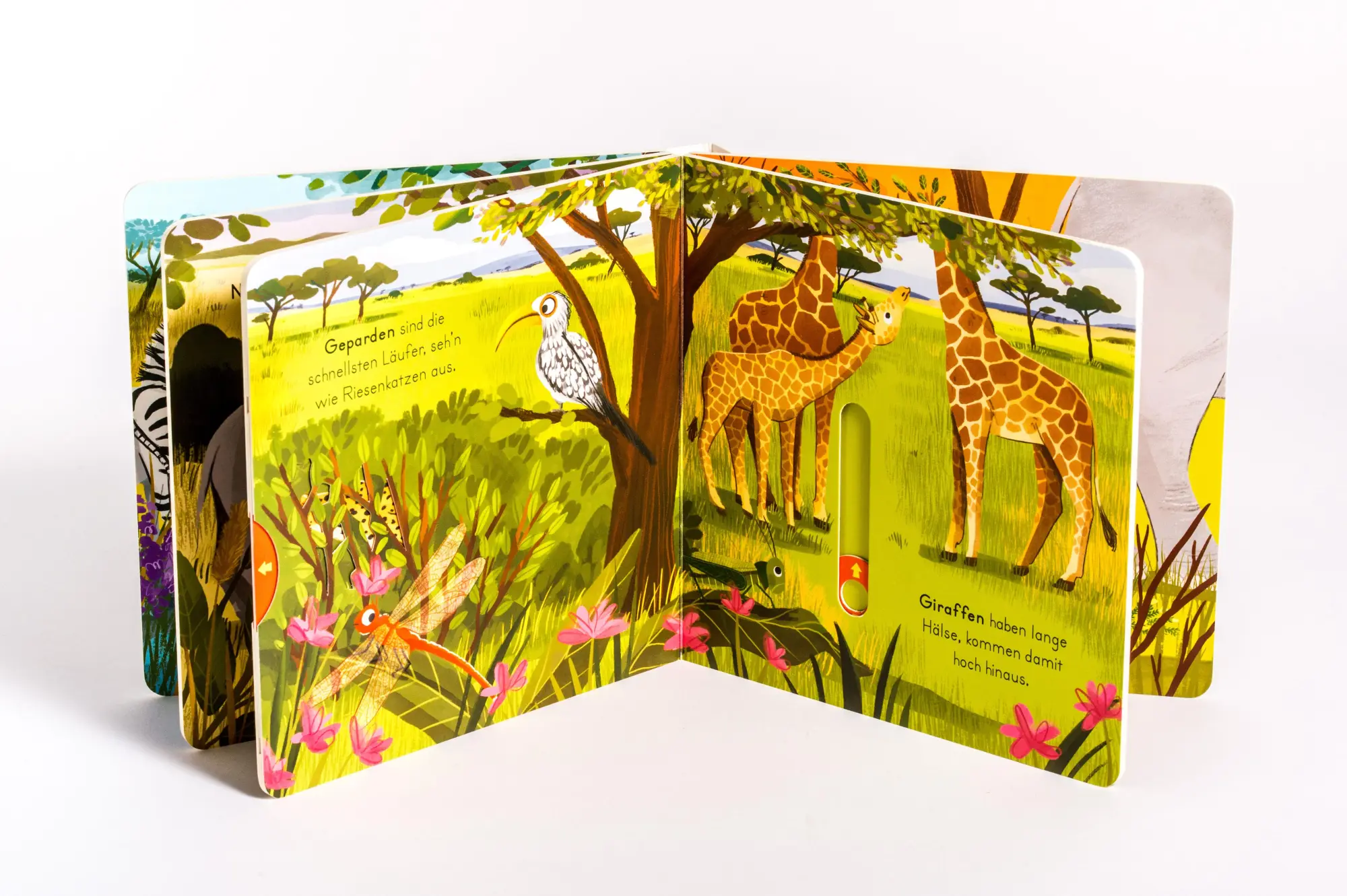 Bild: 9783328303916 | Komm mit nach draußen! Wilde Tiere | Kathrin Lena Orso | Buch | 10 S.