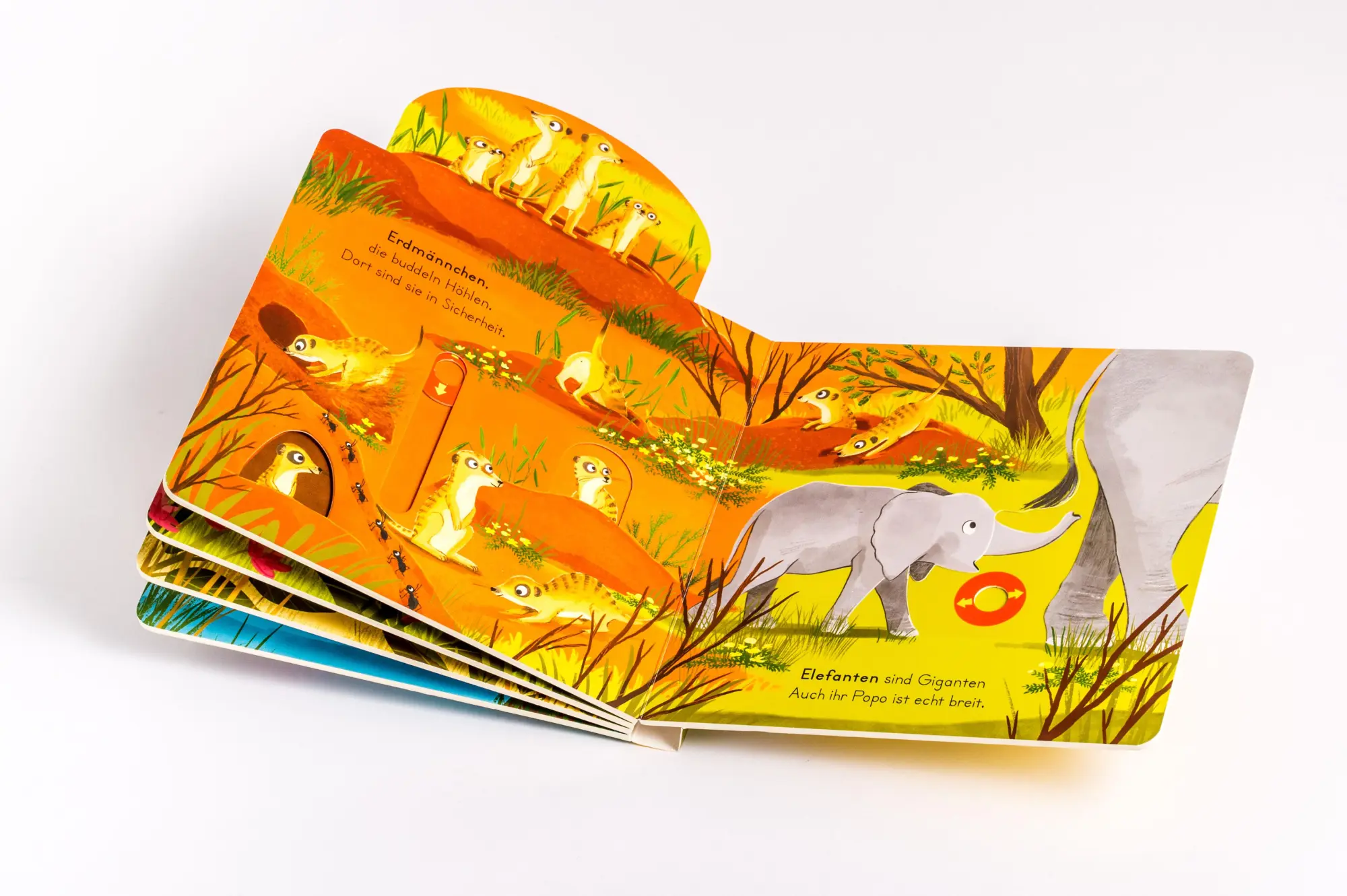 Bild: 9783328303916 | Komm mit nach draußen! Wilde Tiere | Kathrin Lena Orso | Buch | 10 S.
