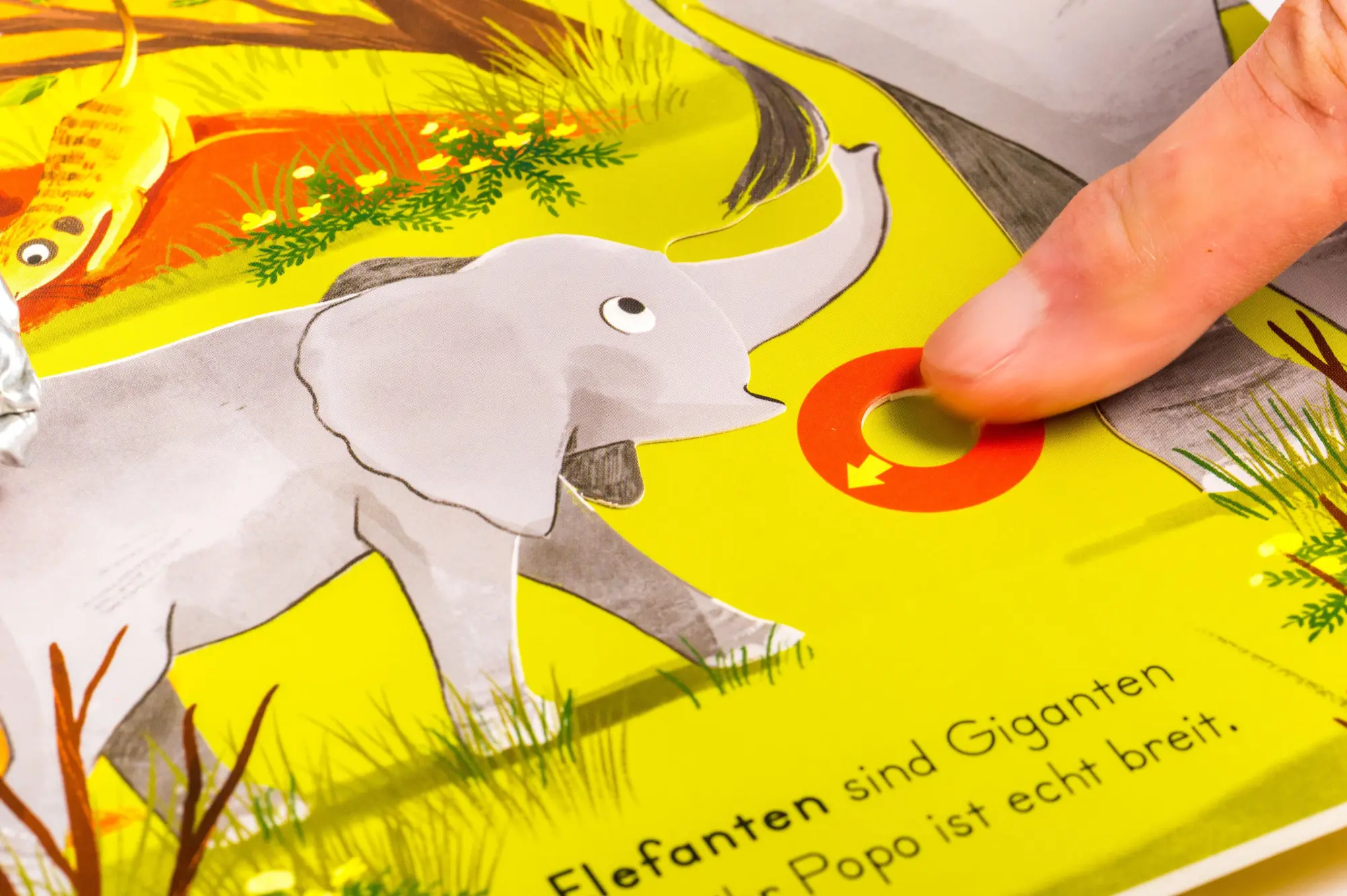 Bild: 9783328303916 | Komm mit nach draußen! Wilde Tiere | Kathrin Lena Orso | Buch | 10 S.