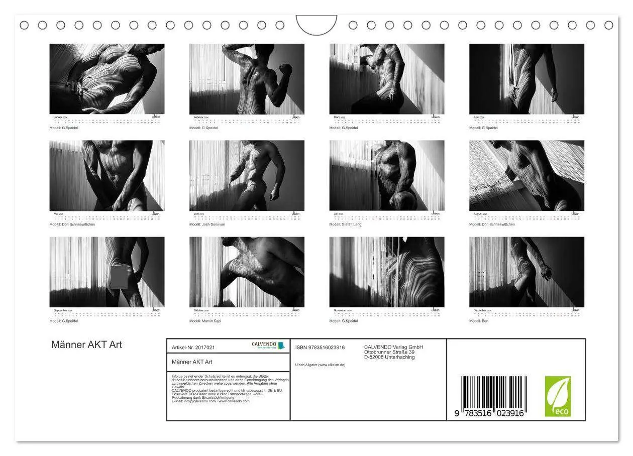 Bild: 9783516023916 | Männer AKT Art (Wandkalender 2026 DIN A4 quer), CALVENDO...