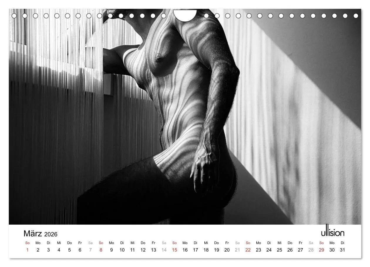 Bild: 9783516023916 | Männer AKT Art (Wandkalender 2026 DIN A4 quer), CALVENDO...