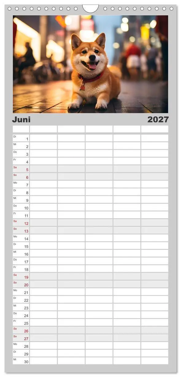 Bild: 9783594313916 | Familienplaner 2027 - Shiba Inu - Stolz und Anmut mit 5 Spalten...