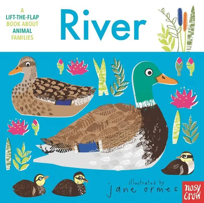 Cover: 9781536224016 | Animal Families: River | Buch | Animal Families | Englisch | 2022