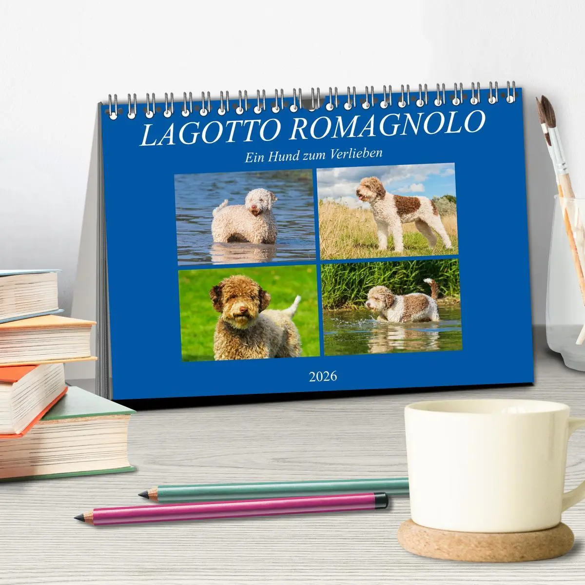 Bild: 9783457824016 | Lagotto Romagnolo - Ein Hund zum Verlieben (Tischkalender 2026 DIN...